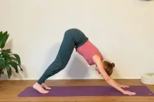 In der Beckenboden-Yoga Sonnengruß Challenge lernst du, deinen Beckenboden z.B. in der Hundestellung ideal zu integrieren.