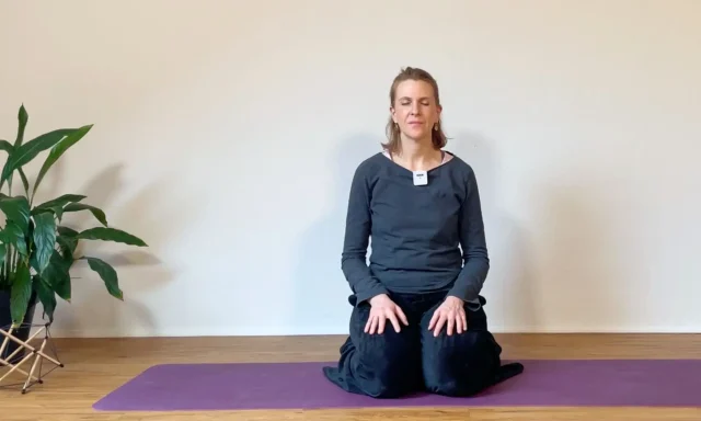 Die Regentropfen Meditation schenkt dir Aufrichtung in der Wirbelsäule und Entspannung im Beckenboden