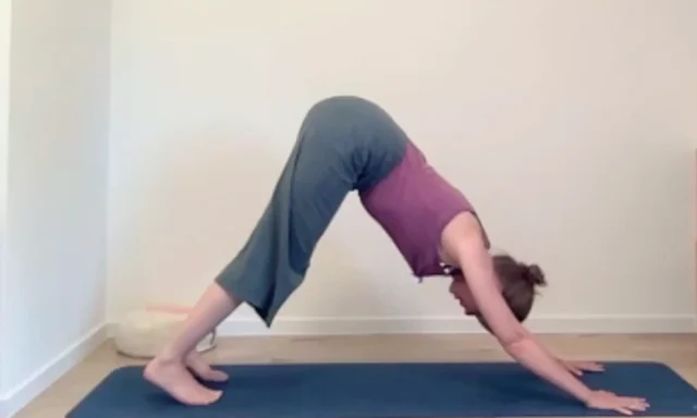 Die Hundestellung eignet sich ideal um den Beckenboden zu entspannen und zu kräftigen