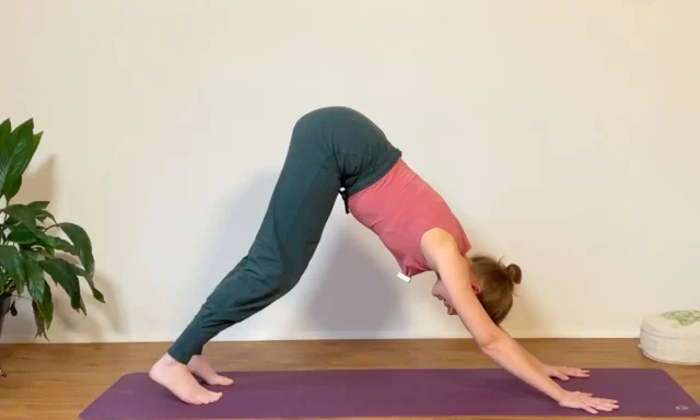 In der Beckenboden-Yoga Sonnengruß Challenge lernst du, deinen Beckenboden z.B. in der Hundestellung ideal zu integrieren.