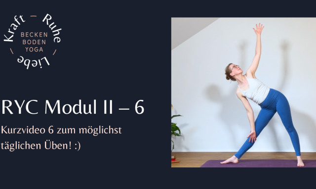 RYC 2 Kurzvideo 6 Video Thumbnail